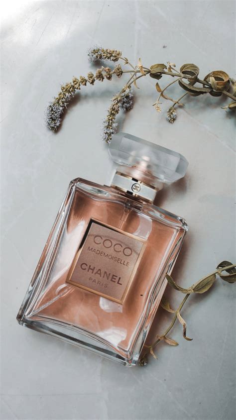 6 melhores perfumes contratipos de Coco .